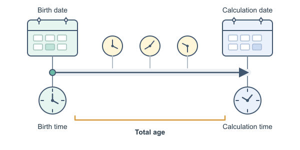 Figure for Age in Hours Calculator