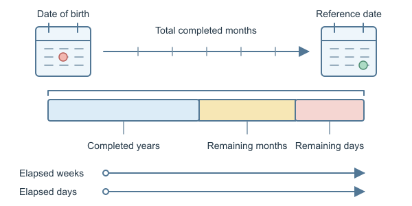 Figure for Age in Months Calculator
