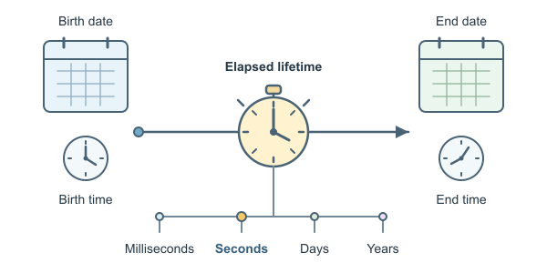 Figure for Age in Seconds Calculator