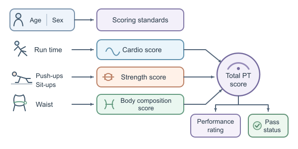 Figure for Air Force PT Calculator