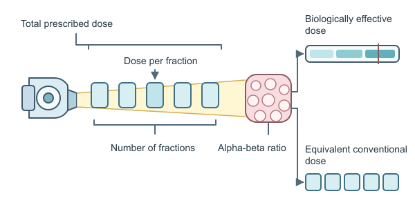 Figure for BED Calculator