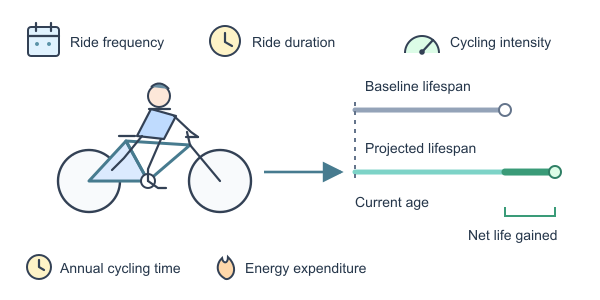 Figure for Biking Life Gain Calculator