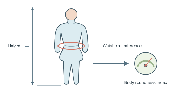 Figure for BRI Calculator — Body Roundness Index
