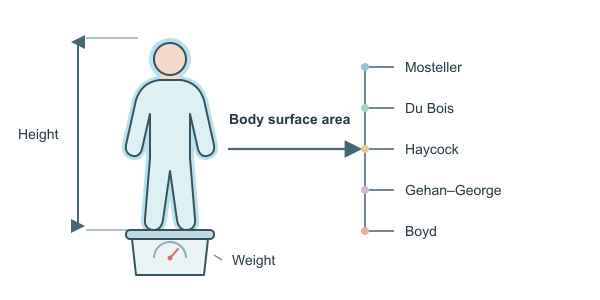 Figure for BSA Calculator – Body Surface Area