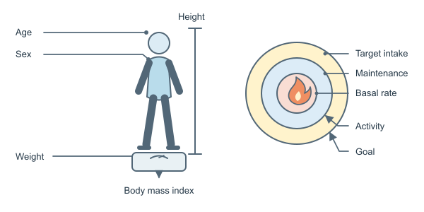 Figure for Calorie Calculator