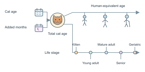 Figure for Cat Age Calculator