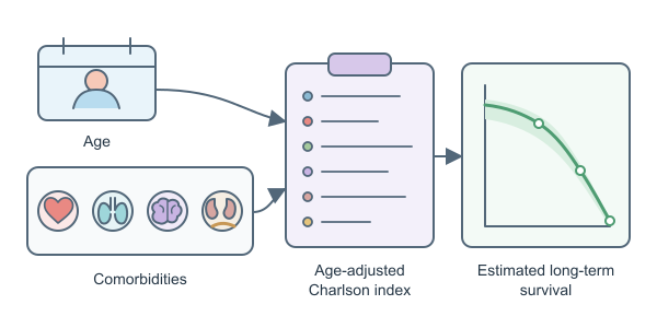 Figure for Charlson Comorbidity Index Calculator
