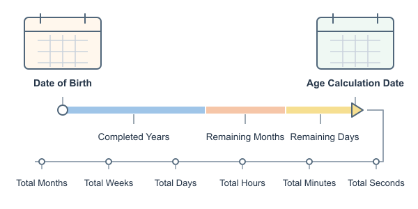 Figure for Chronological Age Calculator