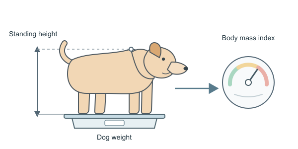 Figure for Dog BMI Calculator