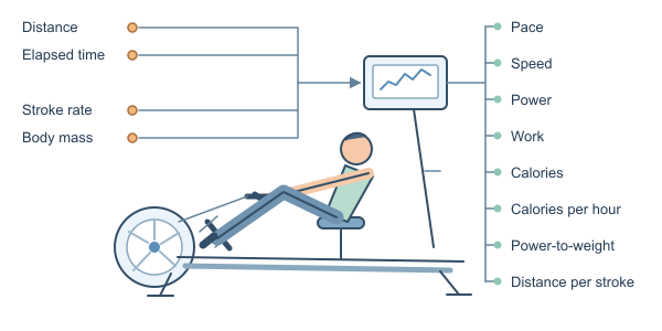 Figure for ERG Calculator