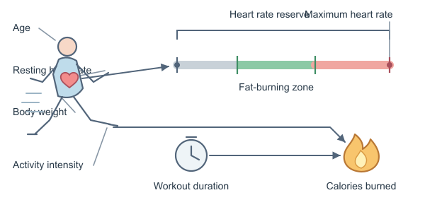 Figure for Fat Burning Zone Calculator
