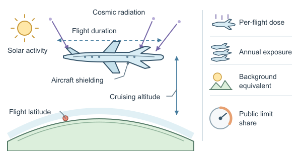 Figure for Flight Radiation Calculator