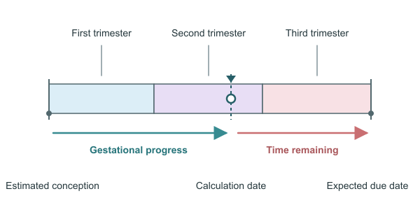 Figure for Pregnancy Countdown Calculator
