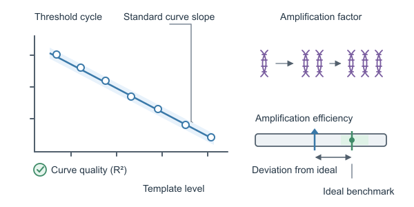 Figure for qPCR Efficiency Calculator