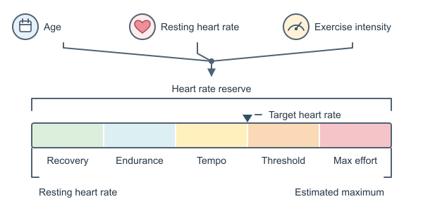 Figure for Target Heart Rate Calculator