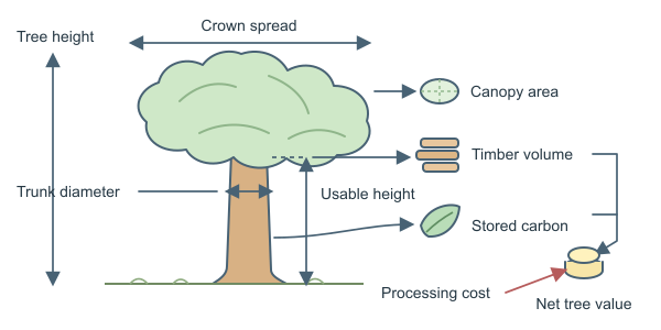 Figure for Tree Value Calculator